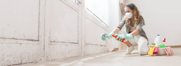 Mold Odor Removal Services in Montour Falls, NY